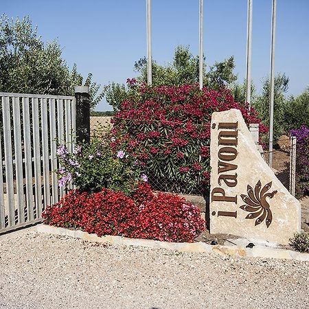 Agrimare I Pavoni Daire Montalto di Castro Dış mekan fotoğraf