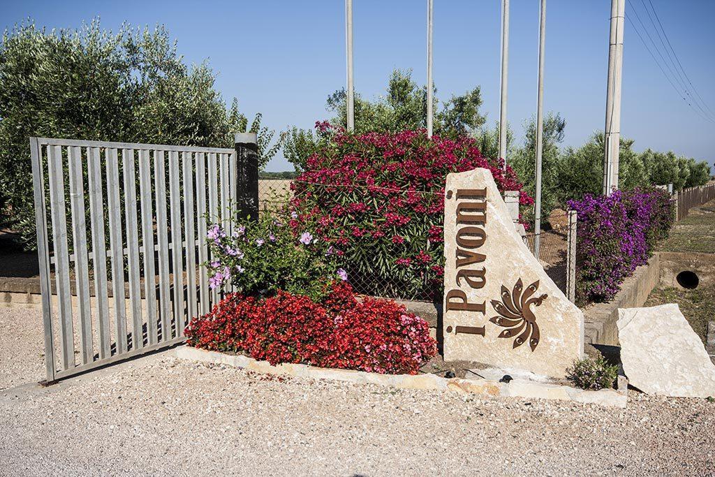 Agrimare I Pavoni Daire Montalto di Castro Dış mekan fotoğraf