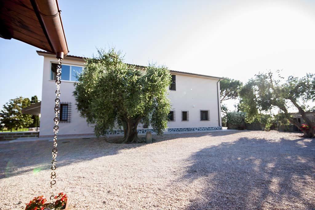 Agrimare I Pavoni Daire Montalto di Castro Dış mekan fotoğraf